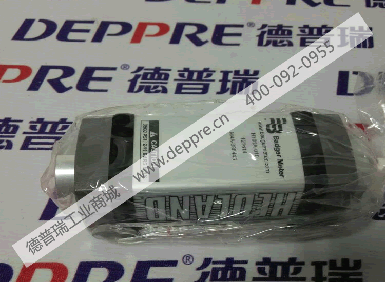 Hedland流量計(jì)H701A-010